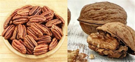 what nuts are similar to walnuts